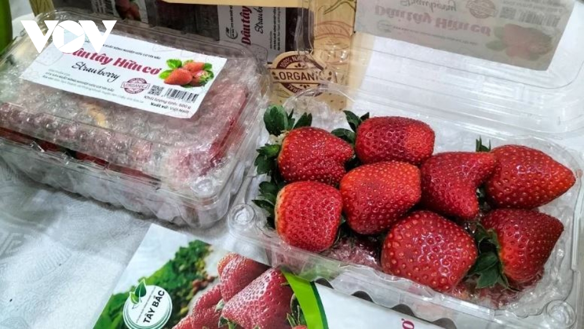 Sơn La phát triển 214 sản phẩm OCOP, nâng tầm nông sản địa phương